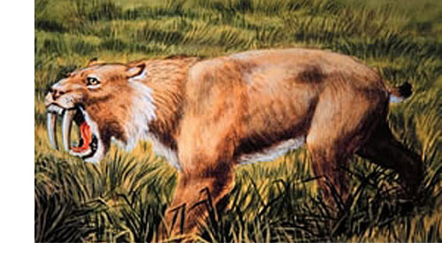 Tigre dientes de sable