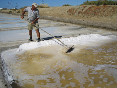 Sal marina