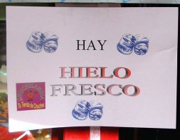 Pleonasmo