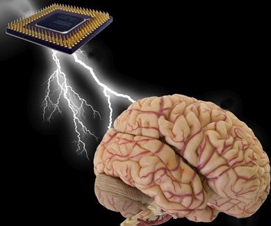chip cerebro